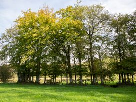 Felin Gogoyan - Mid Wales - 1139455 - thumbnail photo 34