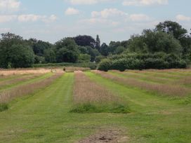 A field with grass pathways and trees at Snowdrop Eardisland