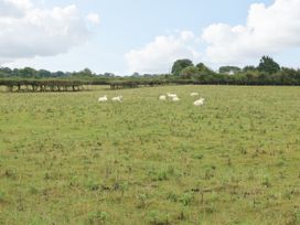 A field with sheep grazing at The Cottage at Ty Newydd in Brynsiencyn