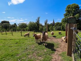 Southdown Luxury Glamping -  - 1140450 - thumbnail photo 25