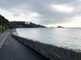 A coastal road with a stone wall along the sea and a forested hill with buildings in the background at 1 Ilsham Cottages Torquay