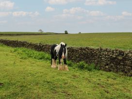 A horse standing in a field near a stone wall at The LA'AL Cragg in Kirkby Stephen