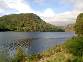 Tailor's Cottage - Mid Wales - 11414 - thumbnail photo 10