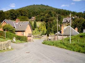 Tailor's Cottage - Mid Wales - 11414 - thumbnail photo 12