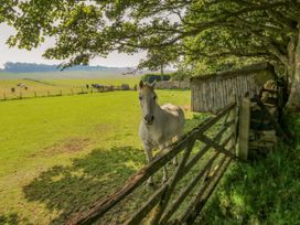 The Coach House - Northumberland - 1141608 - thumbnail photo 37