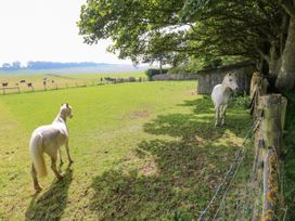 The Coach House - Northumberland - 1141608 - thumbnail photo 38