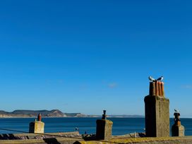 A seaside view with chimneys and seagulls at Port House in Lyme Regis