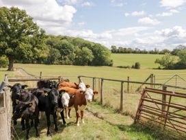 The Cow Shed - Herefordshire - 1141793 - thumbnail photo 30
