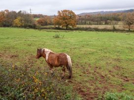 Fern Cottage - South Wales - 1142063 - thumbnail photo 14