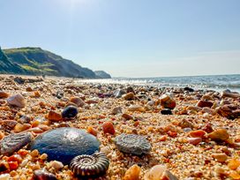 Charmouth Lodge - Dorset - 1142797 - thumbnail photo 46