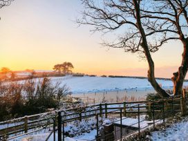 A snowy landscape with trees and a fence at Windyridge, Gwaenysgor, near Prestatyn