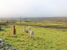 The Byre - Northumberland - 1142978 - thumbnail photo 29