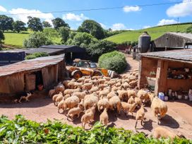 Twyford Farm Cottage - Devon - 1143593 - thumbnail photo 47