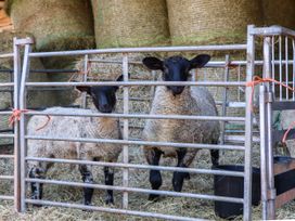 Twyford Farm Cottage - Devon - 1143593 - thumbnail photo 49