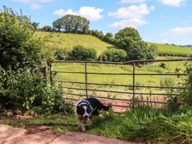 Twyford Farm Cottage - Devon - 1143593 - thumbnail photo 46