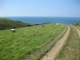 Laundry Cottage - Devon - 1143684 - thumbnail photo 50