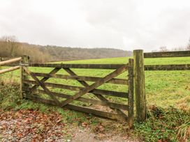 Barn Owl - Somerset & Wiltshire - 1143915 - thumbnail photo 18