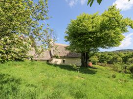 A thatched roof cottage surrounded by trees and grass at Thatched Cottage in Llanybydder