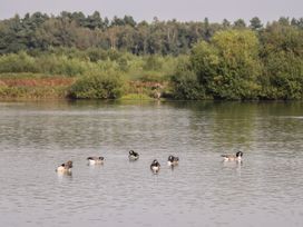 44 Delamere Point - North Wales - 1144074 - thumbnail photo 25