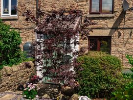 A garden area with plants flowers and a tree in front of a stone house with windows at Rivendell in Ffynnongroyw