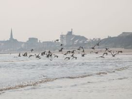 A view of a beach with birds flying and buildings in the background at Apt 9 @ Hunter's Quay, Bridlington