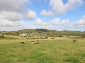 A field with cows grazing at Trefor Ganol in Beaumaris