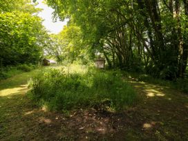 A pathway leading through trees with a shed in a wooded area at Glas y Dorlan Nevern near Newport, Pembrokeshire