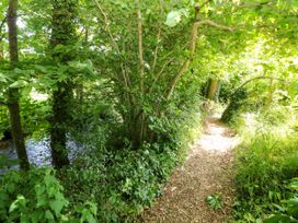 A path alongside a stream with trees and bushes at Glas y Dorlan near Newport, Pembrokeshire