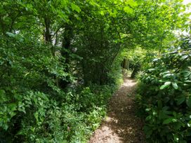 A path surrounded by trees and bushes at Glas y Dorlan Nevern near Newport, Pembrokeshire