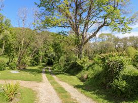 A gravel and grass pathway through trees and greenery at Glanduad Fawr in Newport Pembrokeshire