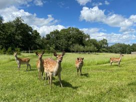 Yes Deer - Peak District & Derbyshire - 1144952 - thumbnail photo 32