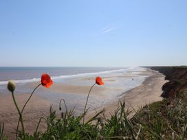 A beach with poppy flowers in the foreground at Gannet in Flamborough