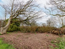 A garden with a tree and shrubs at Razorbill in Flamborough