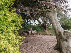 A garden with trees and logs at Guillemot in Flamborough