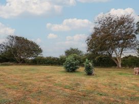 A field with trees and bushes at Guillemot in Flamborough