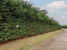 A hedge lining a pathway with grass and blue sky at Guillemot in Flamborough