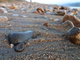 A close-up view of stones and fossils on a beach at 13 Downside Close Charmouth