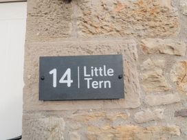 Little Tern - Northumberland - 1145620 - thumbnail photo 35