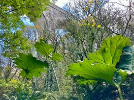 Harvey's House - Cornwall - 1145624 - thumbnail photo 53