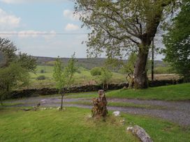 A view of a tree and pathway at The Long House in Penmachno