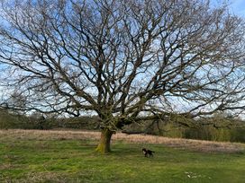 Piglet Corner - Devon - 1146349 - thumbnail photo 22