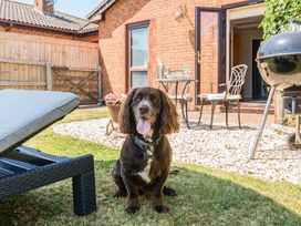 A garden with a dog next to a lounge chair and a barbecue at Piglet Corner in Culmstock