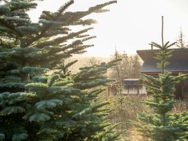An outdoor scene with pine trees and a wooden house with a deck in the background at Garwnant Golden Oak in Garwnant Bannau Brycheiniog Brecon Beacons