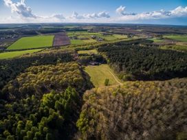 An aerial view of a forest clearing with a building surrounded by trees and fields at Sherwood Forest Silver Birch in Sherwood Forest