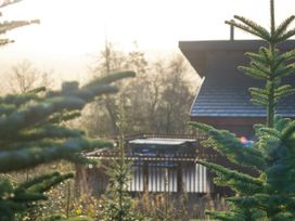 An outdoor view of evergreen trees with a wooden cabin and fenced deck in the background at Garwnant Silver Birch Garwnant Bannau Brycheiniog Brecon Beacons