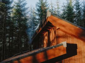 The exterior corner of a wooden cabin surrounded by tall pine trees at Glentress The Unfurl Cabin 2 doubles 1 twin in Glentress Forest Peebles