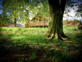 A large tree trunk in a grassy area with wooden cabins and fencing in the background at Forest of Dean Meadow - Golden Oak in Forest Of Dean