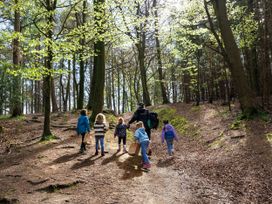 A group of children walking with an adult in a forest with trees and a dirt path at Forest of Dean Meadow - Golden Oak in Forest Of Dean