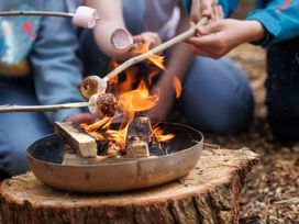 People roasting marshmallows over a small fire pit on a tree stump outside