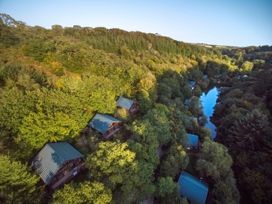 Aerial view of cabins among trees near a river in Deerpark Forest